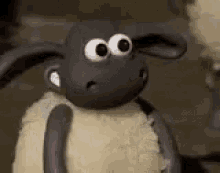 1622203888941.gif