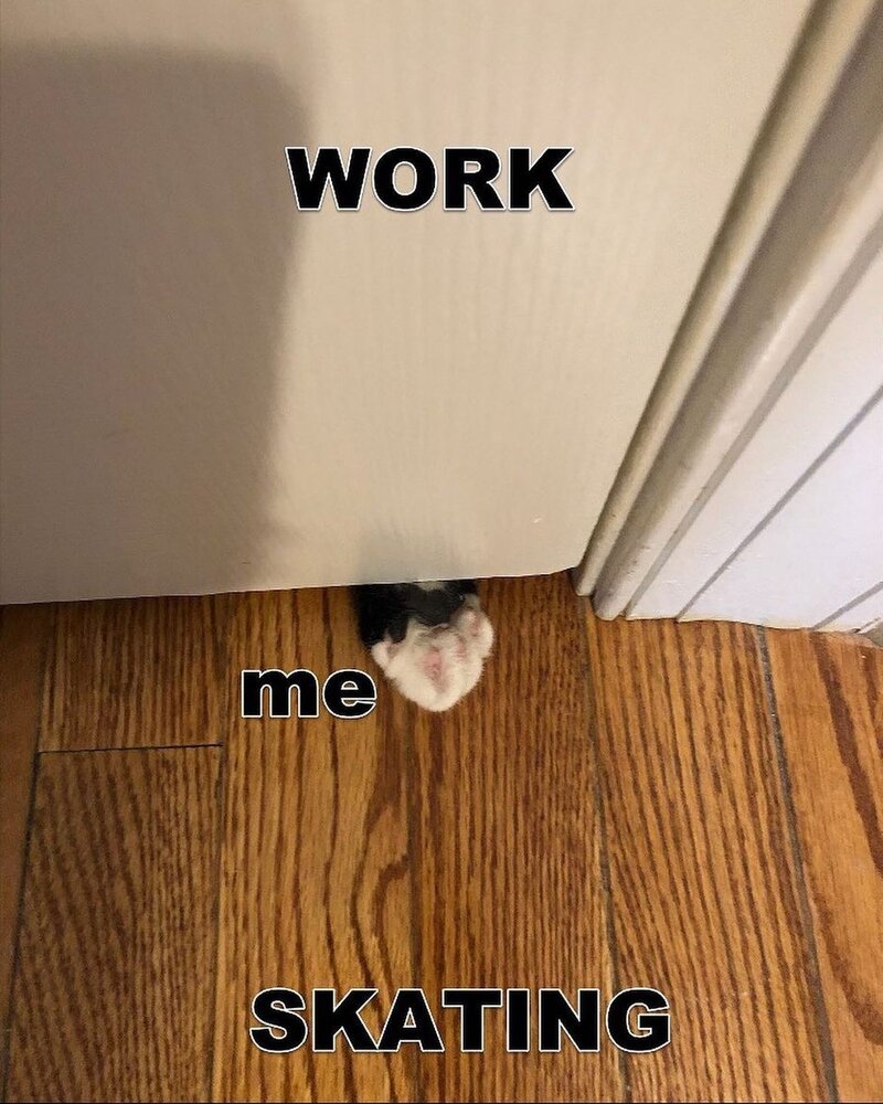 1629387180083.jpeg