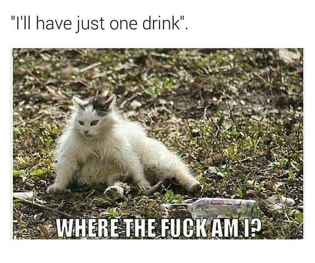 1695840379315.jpeg