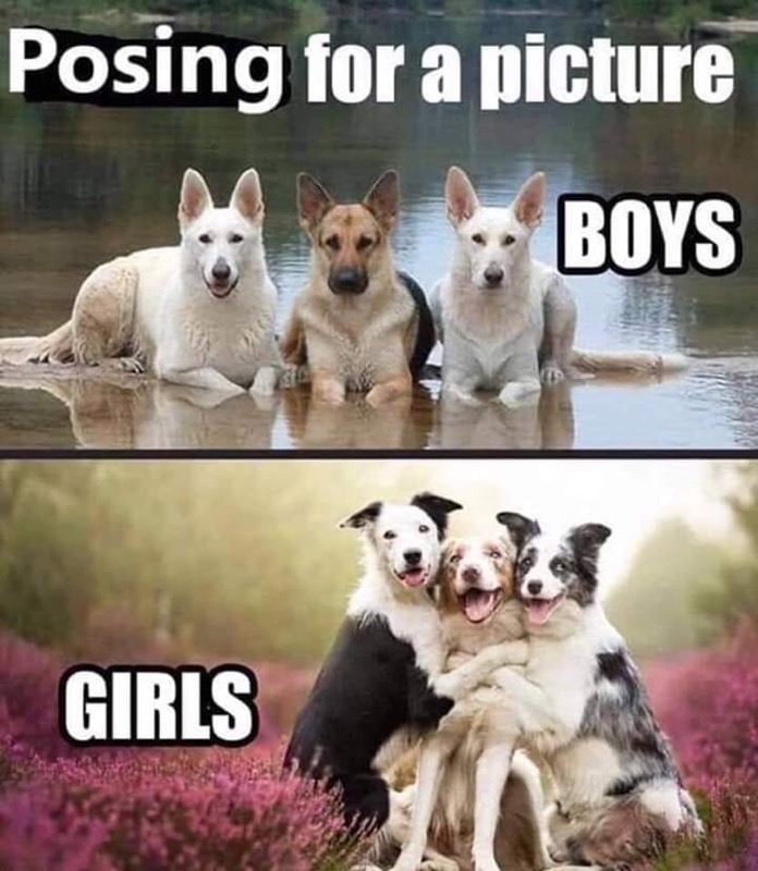1696729439194.jpeg