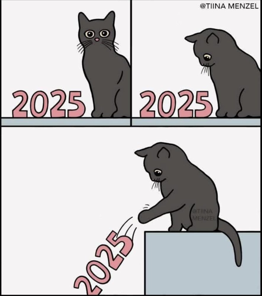 2025cat.jpg