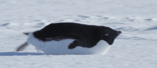 24-bmXIgrz.gif