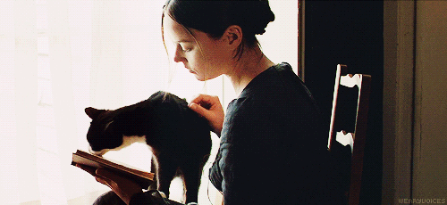 tumblr_nic1bc6tms1tyncywo1_500-gif.4024