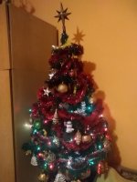 IMG_20181222_190038.jpg