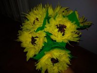 IMG_20181121_232533.jpg