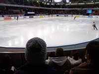 IMG_20181124_143129.jpg