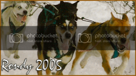 rondybanner-1.png rondybanner-1.png