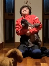 Showpuppy.jpg