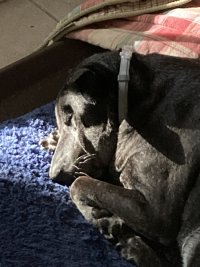 IMG_3099.jpeg