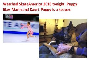 puppy.jpg