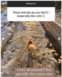 1645967324525.png 1645967324525.png