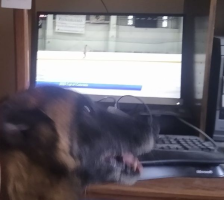 1659767053012.png 1659767053012.png