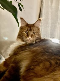 IMG_3029.jpeg