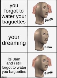 1697384493430.jpeg