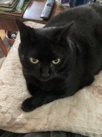 IMG_2841.jpeg