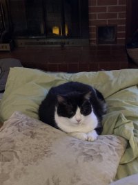 IMG_2911.jpeg