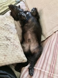 IMG_3052.jpeg