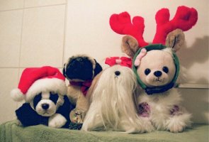 Christmas Hug.jpeg