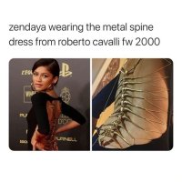 1737929688877.jpeg
