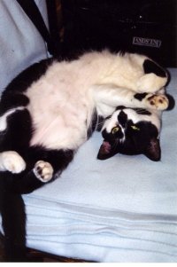 9 flexible Sylvia.jpg