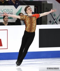 Vladimir Litvinsev Not a Lion.jpg Vladimir Litvinsev Not a Lion.jpg