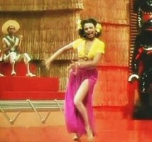 senorita.gif_snapshot_00.08.750.jpg senorita.gif_snapshot_00.08.750.jpg