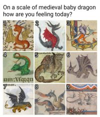 dragons.jpeg dragons.jpeg