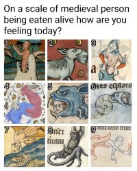 eaten3.jpeg eaten3.jpeg