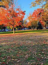autumn.jpg