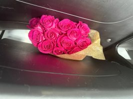 IMG_1359.jpeg