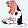 sowcow