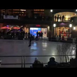 Camden Pulkinen - 2020 Solaris Ice Show - Exhibition