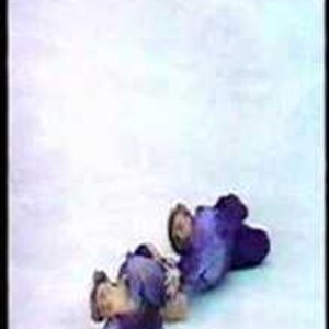 1995 WC BBC Intro to Pairs SP  Interview with Robin Cousins