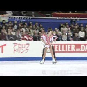 Dan ZHANG & Hao ZHANG CHN 2007 WC LP