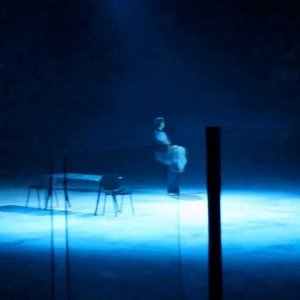 Tatiana Totmianina and Maxim Marinin. Novosibirsk. 02/10/2014. Show Ice Age.
