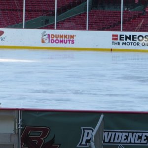Alissa Czisny - Frozen Fenway Winter Party on Ice 2017 - Elastic Heart by Sia (rinkside video)