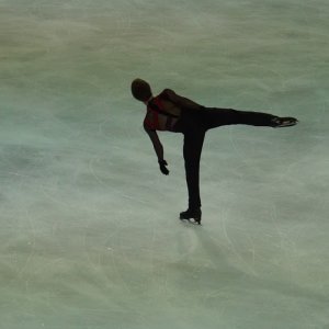 Deniss Vasiljevs - Cup of Tyrol 2017 FP - Four Seasons