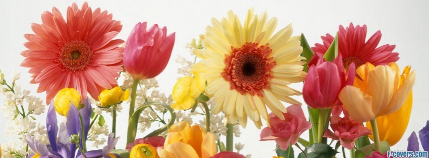 summer-flowers-mix-facebook-cover-timeline-banner-for-fb.jpg