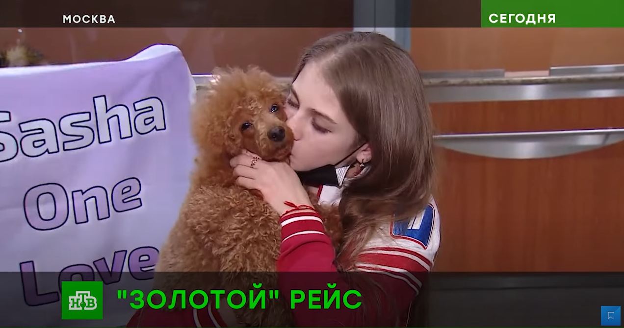 33864705.jpg