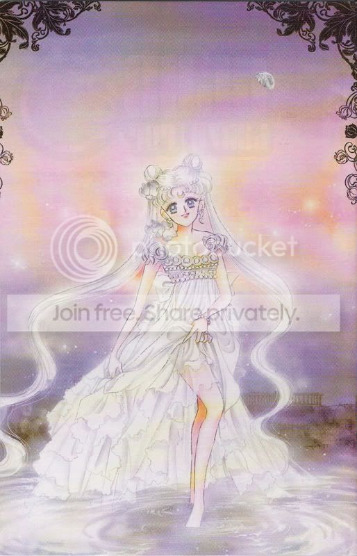 SailorMoonManga11bckcvr.jpg