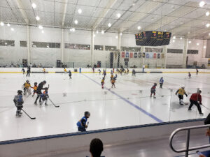 Annapolis Skating Club logo