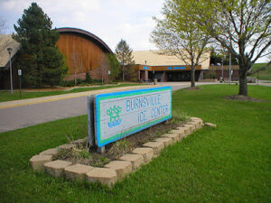 Burnsville-MN Valley Figure Skating Club logo
