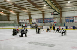Centennial Skating Club logo