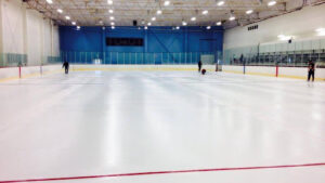 Desert Ice Skating Club Of Arizona logo