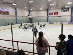 Dutchess Figure Skating Club logo