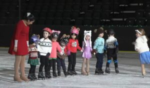 Everett Figure Skating Club logo