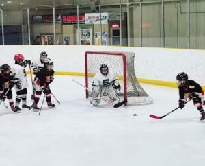 Grant Fuhr Arena & Stu Barnes Arena logo