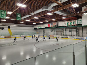 Greenway Emerald Ice Figure Skating Club logo