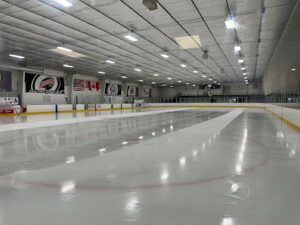 Hollydell Figure Skating Club logo
