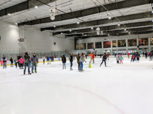 Ice House Of New Jersey Figure Skating Club logo